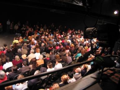 poze conferintele teatrului national