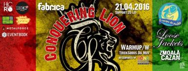 poze conquering lion zmoalacazan fabrica club