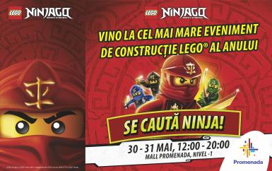 poze copiii se transforma in adevarati ninja cu lego ninjago