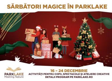 poze craciun de poveste in parklake