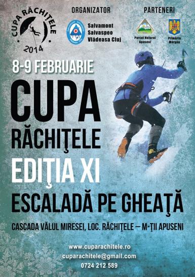 poze cupa rachitele escalada pe gheata editia a xi a