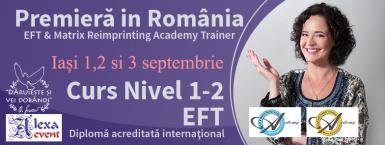 poze curs acreditat eft nivel 1 si 2 cu oana sorescu la iasi