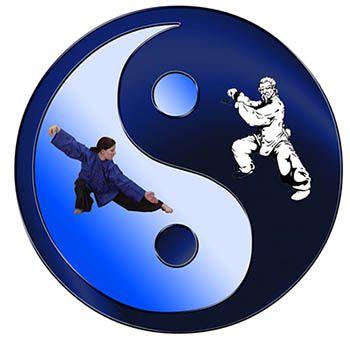 poze curs de tai chi chen taijiquan chen pentru incepatori