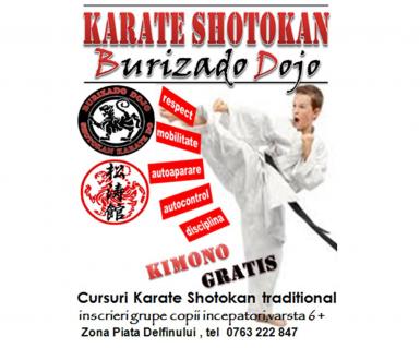 poze cursuri karate shotokan copii