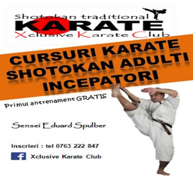 poze cursuri karate shotokan traditional adulti incepatori