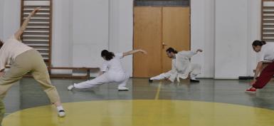 poze cursuri taijiquan stilul wudang