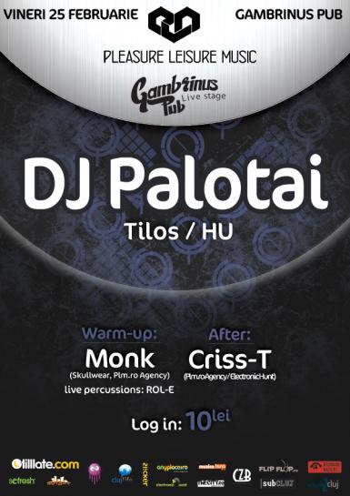 poze dj palotai hu 