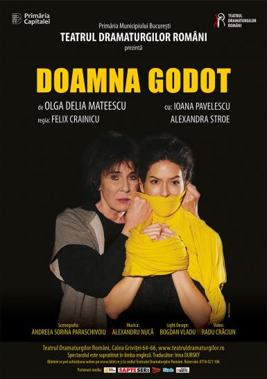 poze doamna godot de olga delia mateescu