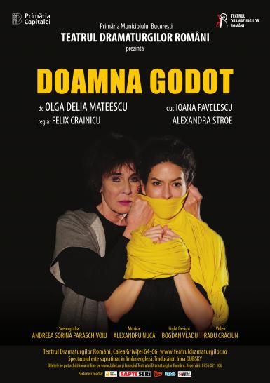 poze doamna godot de olga delia mateescu