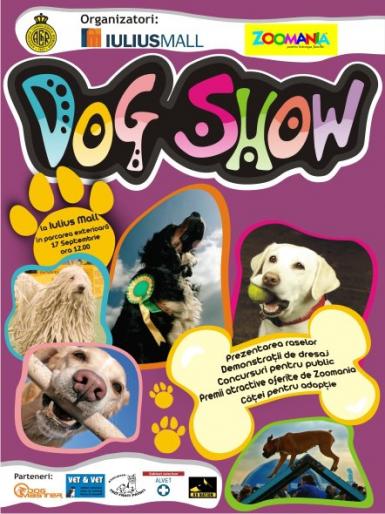 poze dog show la iulius mall