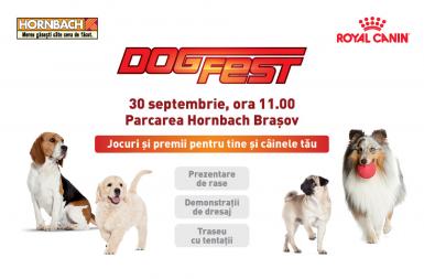 poze dogfest 2017 hornbach bra ov