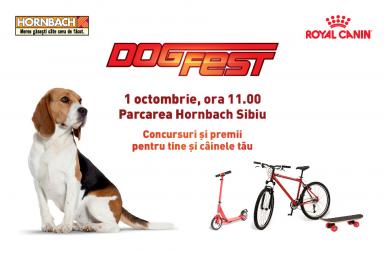 poze dogfest 2017 hornbach sibiu