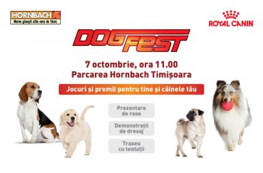 poze dogfest 2017 hornbach timi oara