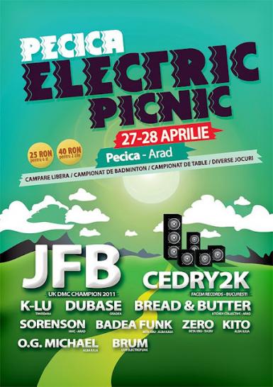 poze electric picnic in pecica