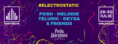 poze electrostatic at molotov vama veche