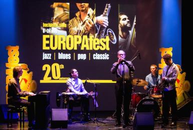 poze europafest 2017 selecteaza voluntari