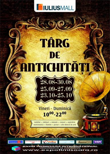 poze expo antichitati timisoara editia 95