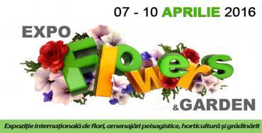 poze expo flowers garden 2016 la romexpo