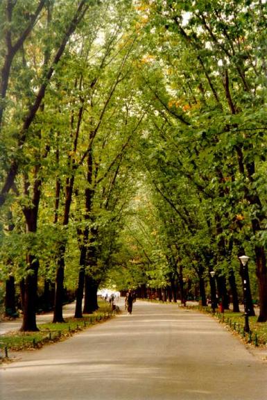 poze expozitia culori in parcul herastrau