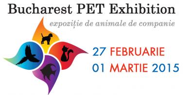 poze expozitia de animale de companie pet exhibition 2015