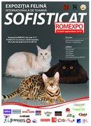 poze expozitia felina de toamna peste 300 de pisici pregatite de concurs