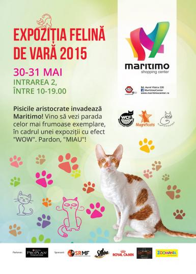 poze expozitia felina de vara 2015