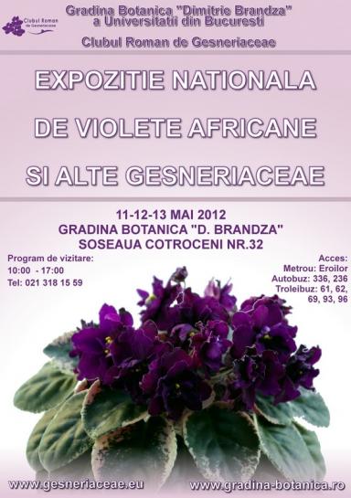 poze expozitia nationala de violete africane si alte gesneriaceae 11 12 13 mai 2012