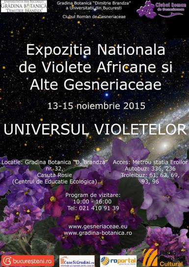 poze expozitia nationala de violete africane si alte gesneriaceae