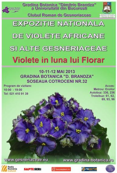 poze expozitia nationala de violete africane si alte gesneriaceae