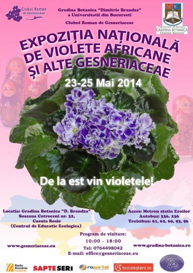 poze expozitia nationala de violete africane si alte gesneriaceae