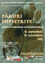 poze expozitia paduri impietrite la muzeul national de geologie