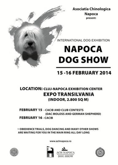 poze expozitie canina cluj 2014