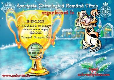 poze expozitie canina timisoara 2013