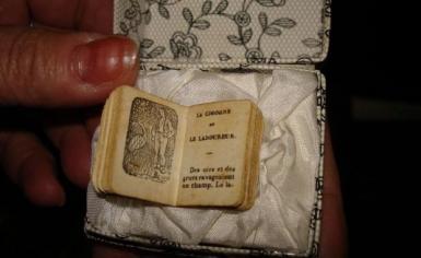 poze expozitie de carti in miniatura la biblioteca judeteana