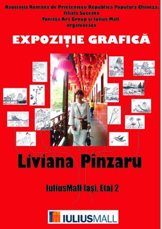 poze expozitie grafica liviana panzaru