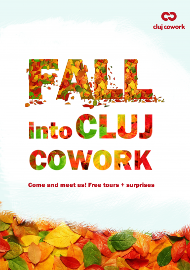 poze fall into cluj cowork