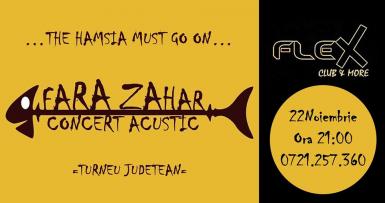 poze fara zahar concert acustic flex arad