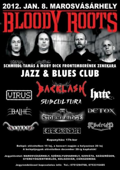 poze festival rock la targu mures