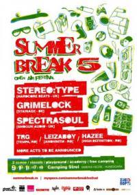 poze festival summer break 2009