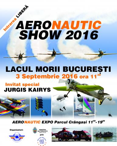 poze festivalul aeronautic