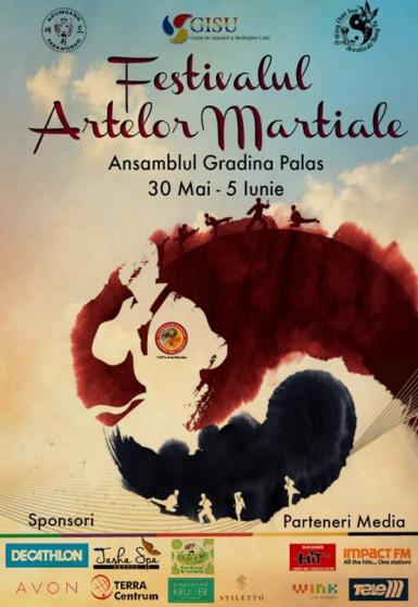 poze festivalul artelor martiale 2016