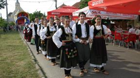 poze festivalul etniilor 2014 la timisoara