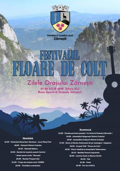 poze festivalul floare de colt zilele orasului zarnesti