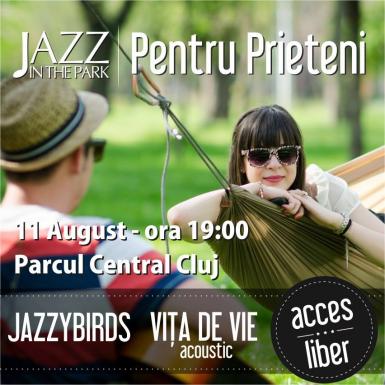 poze festivalul jazz in the park pentru prieteni la cluj napoca