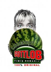 poze festivalul lubenitei
