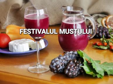 poze festivalul mustului la oradea 2023
