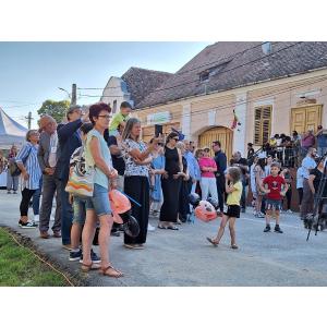 poze festivalul omul verde din richis 