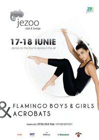 poze flamingo boys and girls acrobats in mamaia