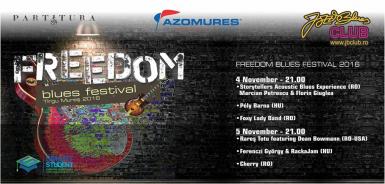 poze freedom blues festival targu mures