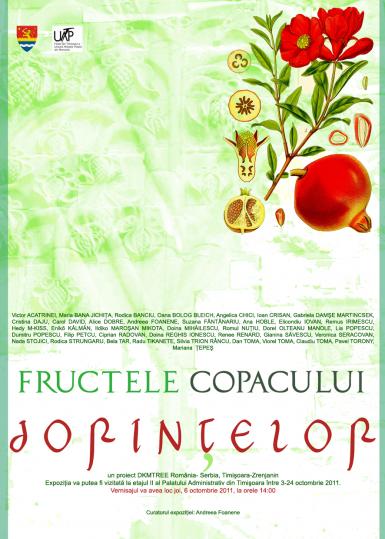 poze fructele copacului dorintelor 